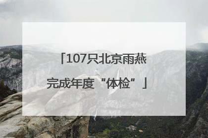 107只北京雨燕完成年度“体检”