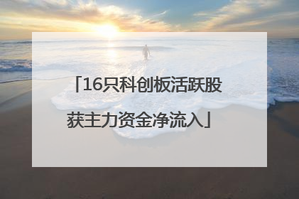 16只科创板活跃股获主力资金净流入