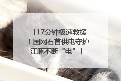 17分钟极速救援！国网石首供电守护江豚不断“电”