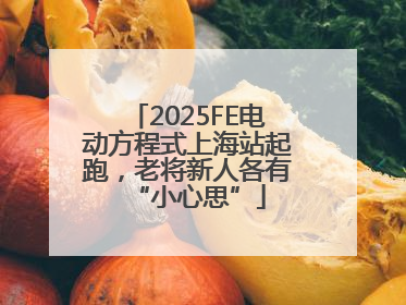 2025FE电动方程式上海站起跑，老将新人各有“小心思”
