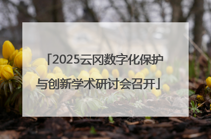 2025云冈数字化保护与创新学术研讨会召开