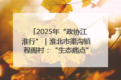 2025年“政协江淮行”｜淮北市渠沟镇程阁村：“生态痛点”变“生态景观”