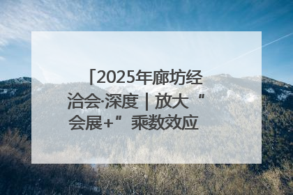 2025年廊坊经洽会·深度｜放大“会展+”乘数效应 打造消费新场景