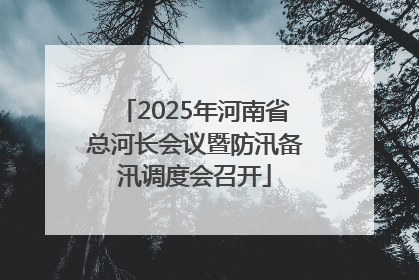 2025年河南省总河长会议暨防汛备汛调度会召开