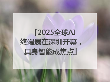 2025全球AI终端展在深圳开幕，具身智能成焦点
