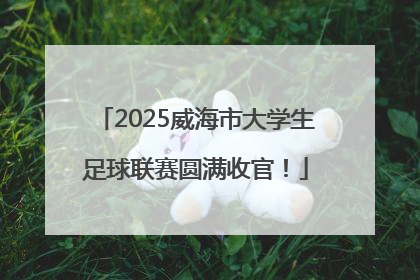 2025威海市大学生足球联赛圆满收官！