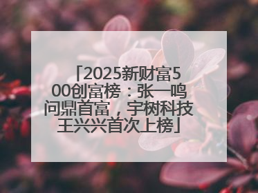 2025新财富500创富榜：张一鸣问鼎首富，宇树科技王兴兴首次上榜