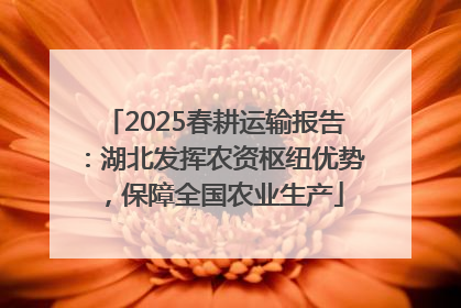 2025春耕运输报告：湖北发挥农资枢纽优势，保障全国农业生产