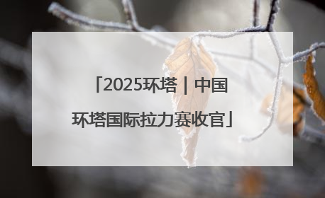 2025环塔｜中国环塔国际拉力赛收官