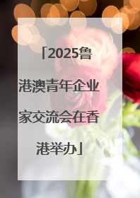 2025鲁港澳青年企业家交流会在香港举办