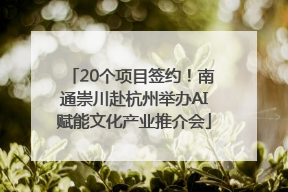 20个项目签约！南通崇川赴杭州举办AI赋能文化产业推介会