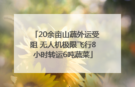 20余亩山蔬外运受阻 无人机极限飞行8小时转运6吨蔬菜