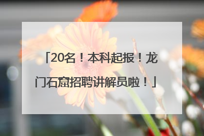 20名！本科起报！龙门石窟招聘讲解员啦！