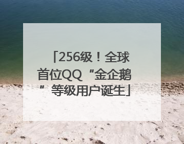 256级！全球首位QQ“金企鹅”等级用户诞生