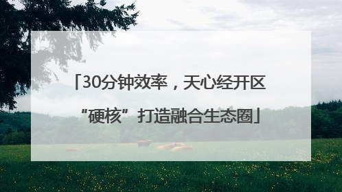 30分钟效率，天心经开区“硬核”打造融合生态圈