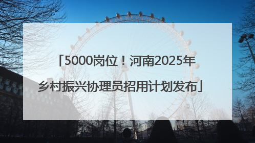 5000岗位！河南2025年乡村振兴协理员招用计划发布