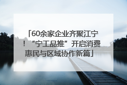 60余家企业齐聚江宁！“宁工品推”开启消费惠民与区域协作新篇