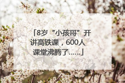 8岁“小孩哥”开讲高铁课，600人课堂沸腾了……