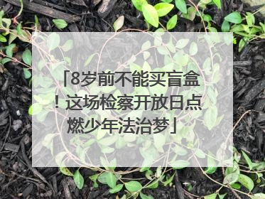 8岁前不能买盲盒！这场检察开放日点燃少年法治梦