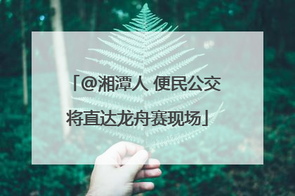 @湘潭人 便民公交将直达龙舟赛现场