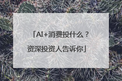 AI+消费投什么？资深投资人告诉你