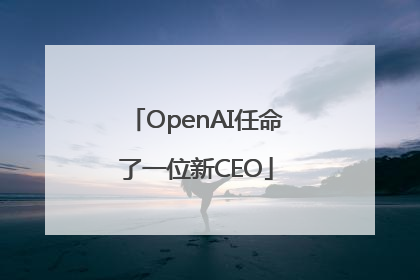 OpenAI任命了一位新CEO