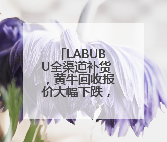 LABUBU全渠道补货，黄牛回收报价大幅下跌，有消费者抢到转手就卖