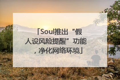 Soul推出“假人设风险提醒”功能，净化网络环境
