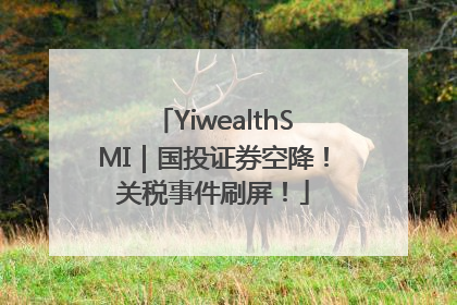 YiwealthSMI｜国投证券空降！关税事件刷屏！